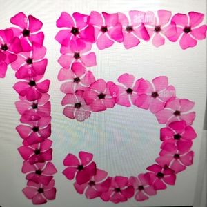 Live MST $15 Womens XS-Plus Live Show Unlisted Items.